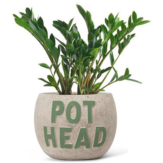 POT HEAD Planter
