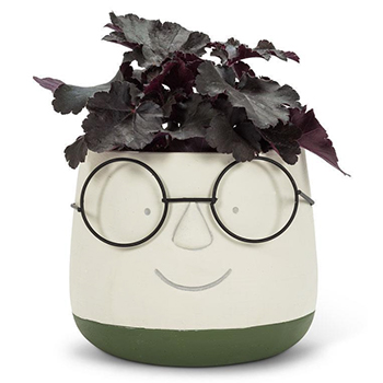 Face Planter with Glasses