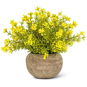 Yellow Flowering Plant