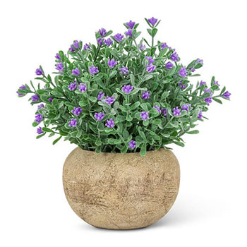 Purple Flowering Plant Pot