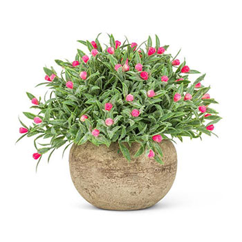 Pink Flowering Plant Pot