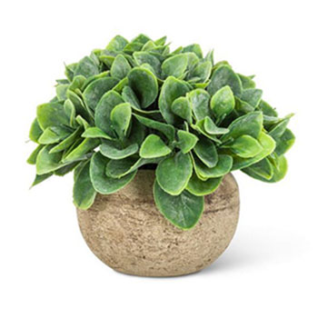 Spade Leaf Plant Pot