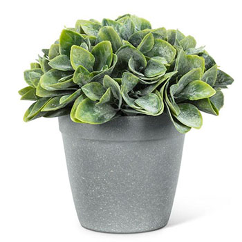 Green Spade Leaf Plant Pot