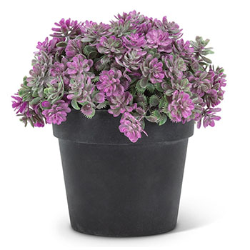 Purple Flower Plant Pot