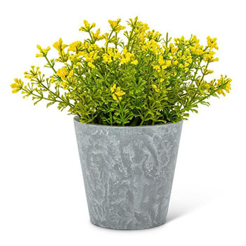 Yellow Flowering Plant Pot